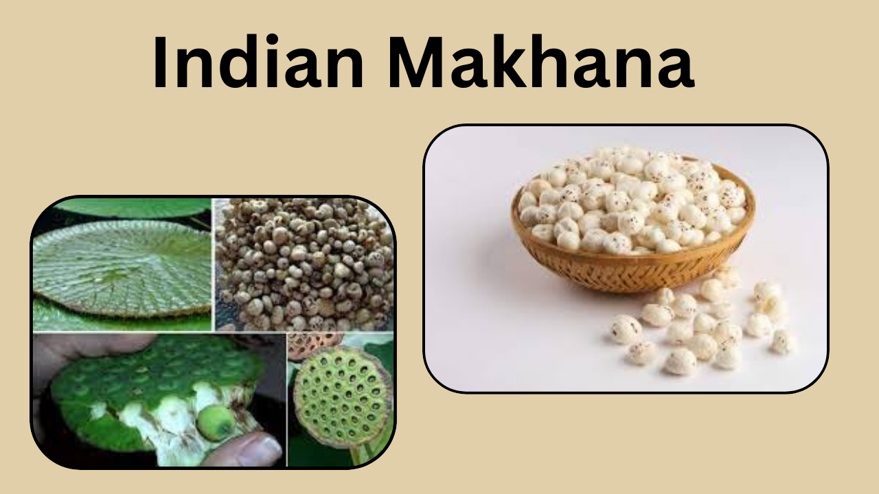 Makhana