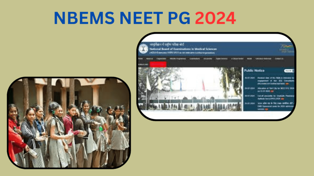 neet pg 2024 results